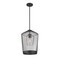 Z-Lite Lido 1 Light Pendant, Matte Black And Clear Seeded 342P13-MB - alternate 5